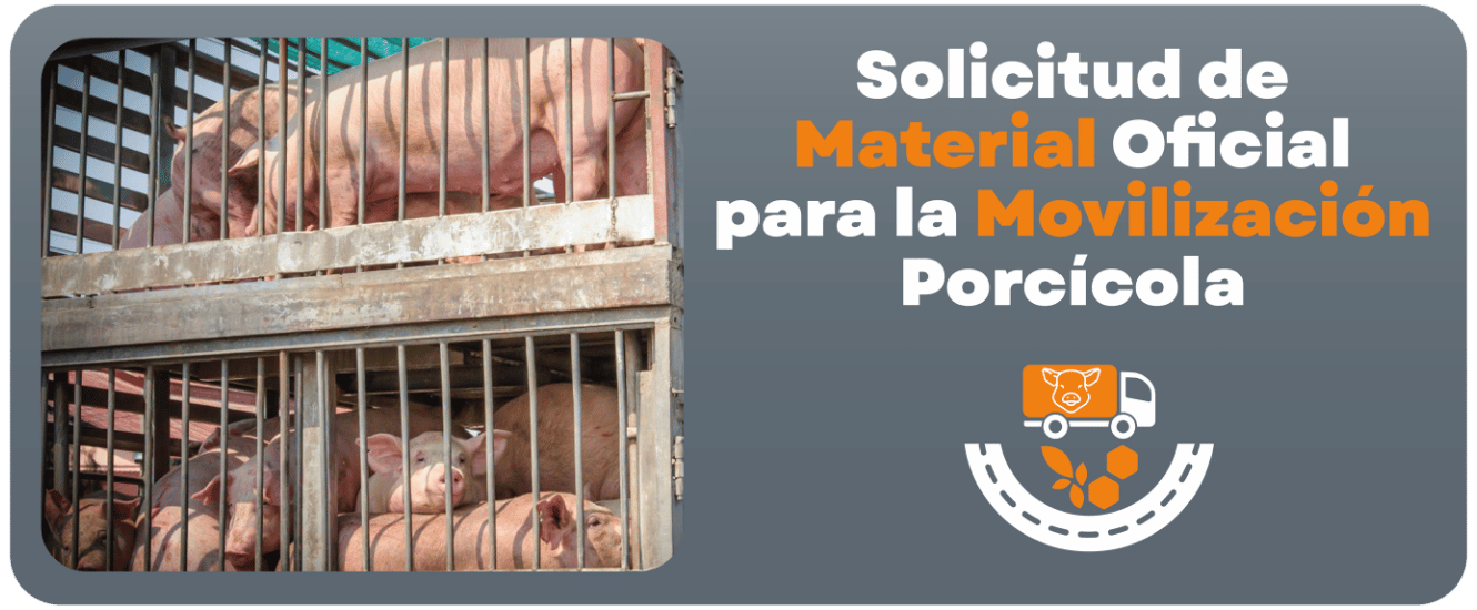 Solicitud de Material Oficial para la Movilización Porcícola