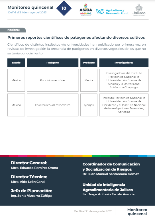 descripción de la imagen:no hay descripción