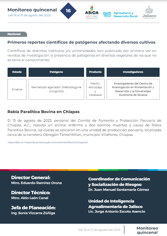 descripción de la imagen:no hay descripción