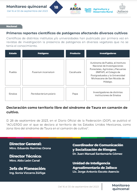 descripción de la imagen:no hay descripción