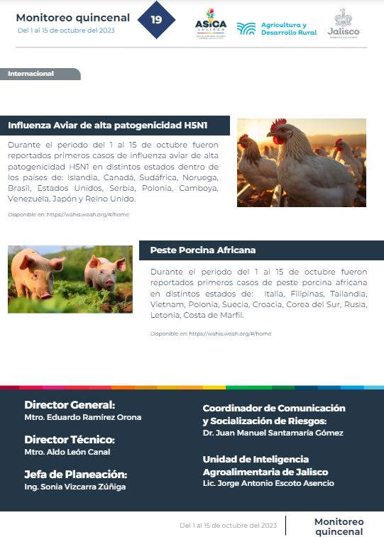 descripción de la imagen:no hay descripción