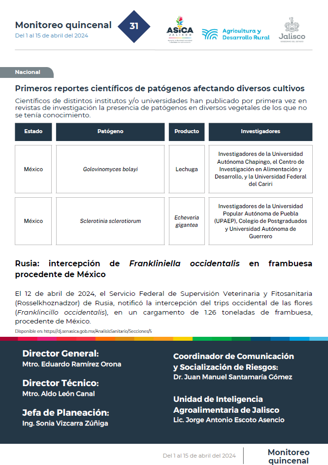 descripción de la imagen:no hay descripción