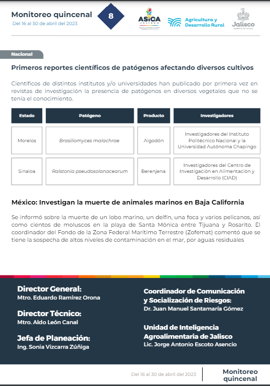 descripción de la imagen:no hay descripción