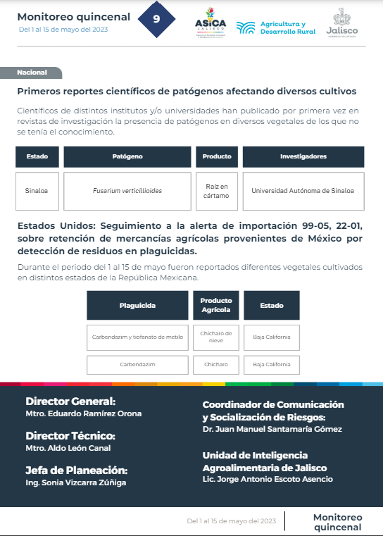 descripción de la imagen:no hay descripción
