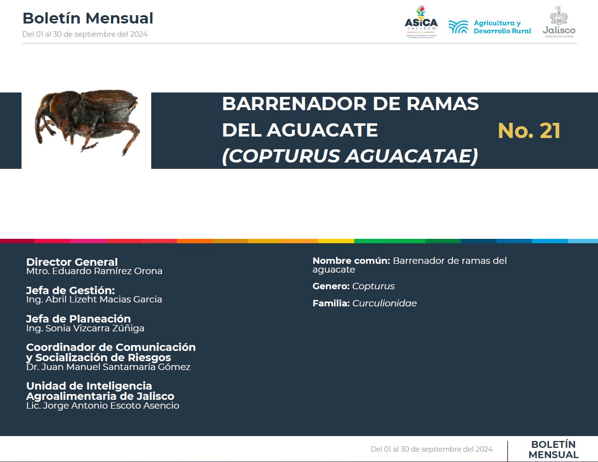 descripción de la imagenno hay descripción