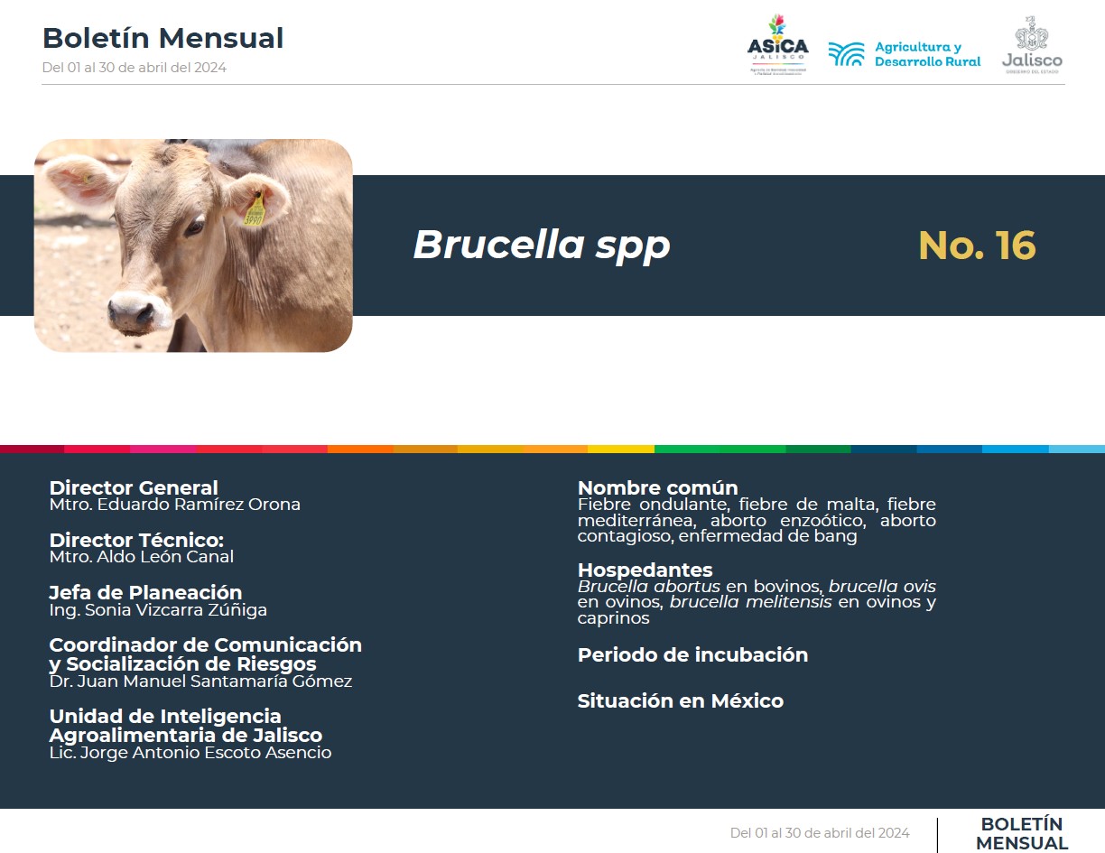descripción de la imagenno hay descripción