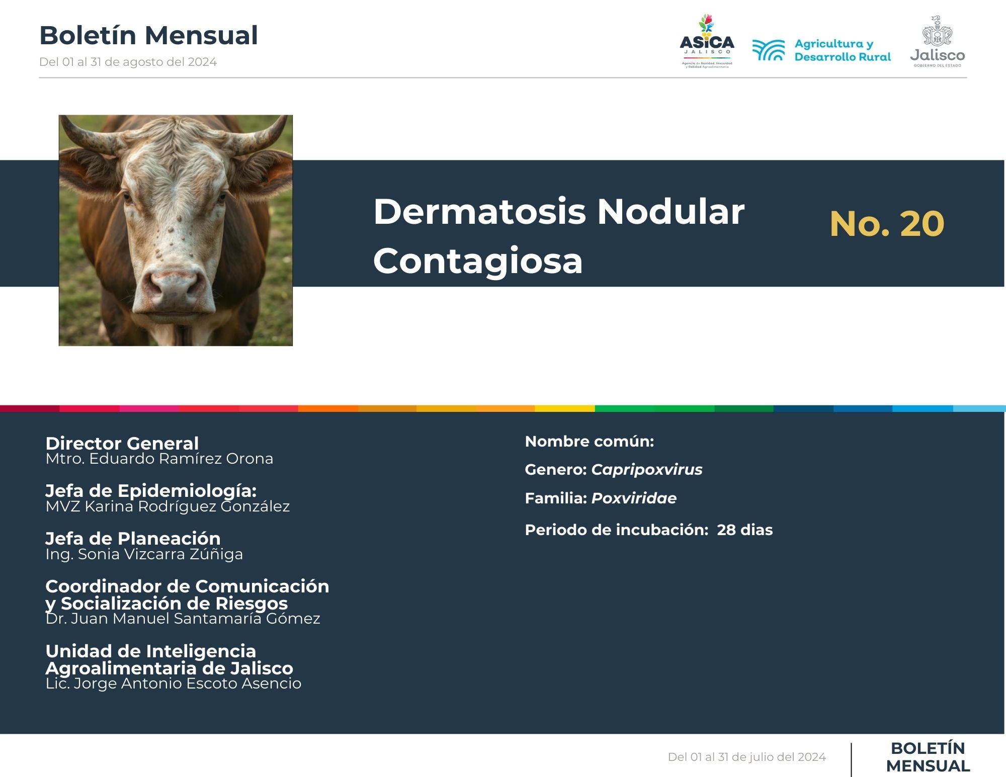 descripción de la imagenno hay descripción