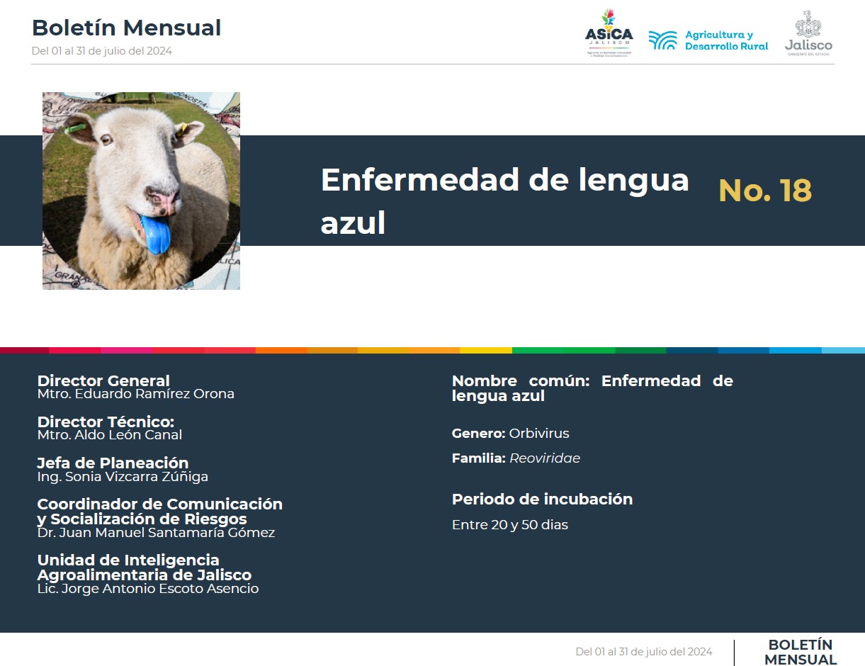 descripción de la imagenno hay descripción