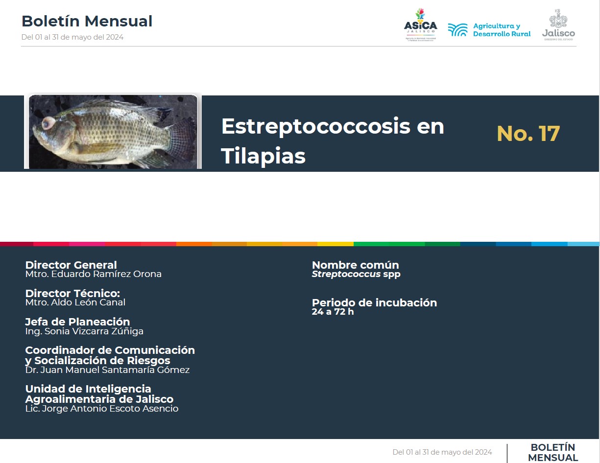descripción de la imagenno hay descripción