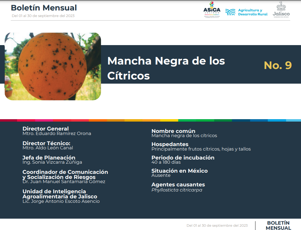 descripción de la imagenMancha Negra de los Cítricos