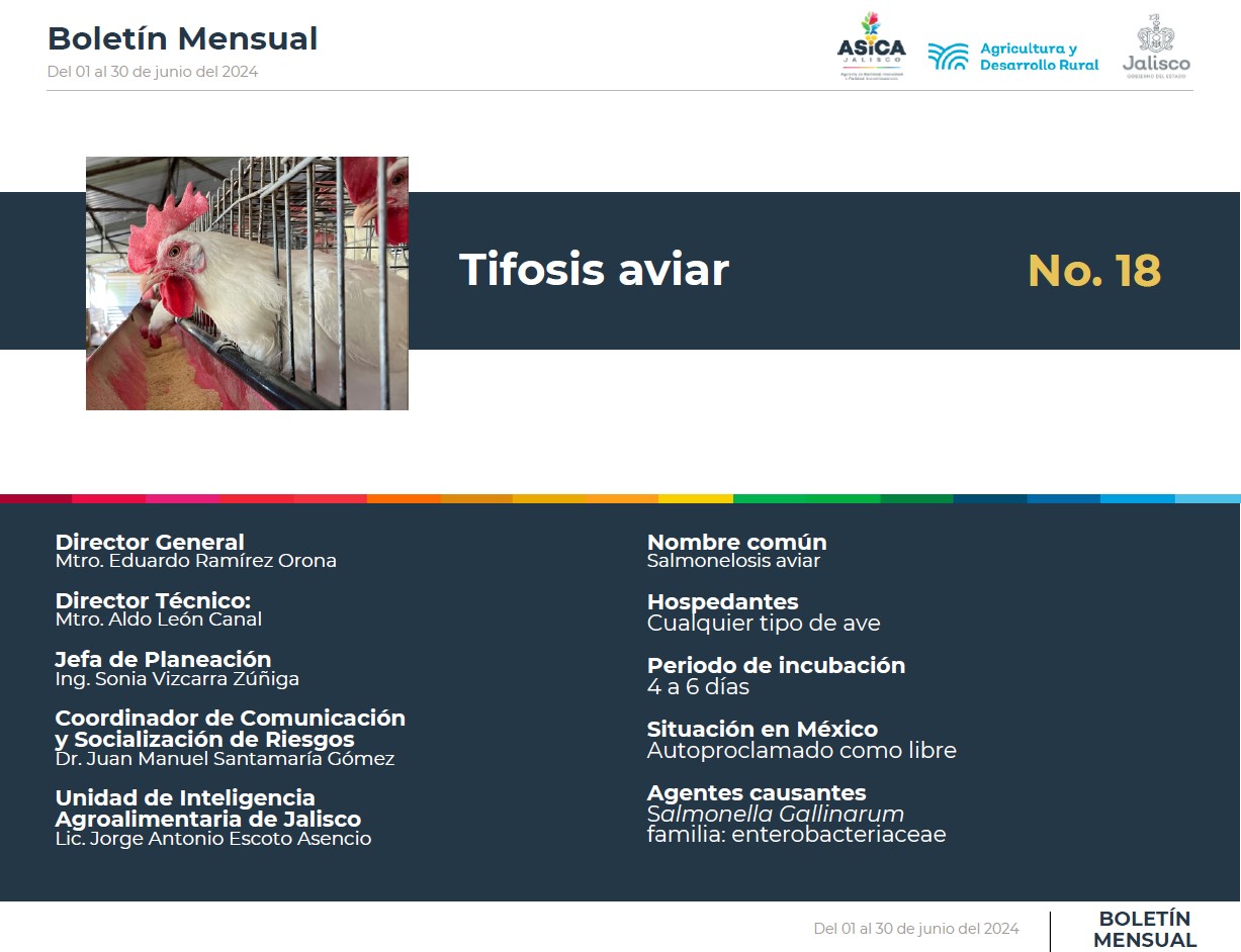 descripción de la imagenno hay descripción