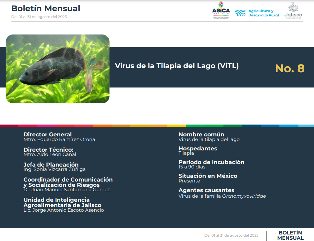 descripción de la imagenVirus de la Tilapia del Lago (ViTL)