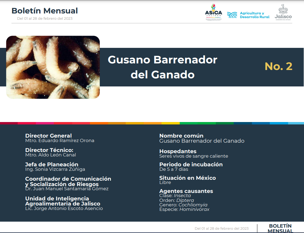 descripción de la imagenMiasis por Gusano Barrenador de Ganado