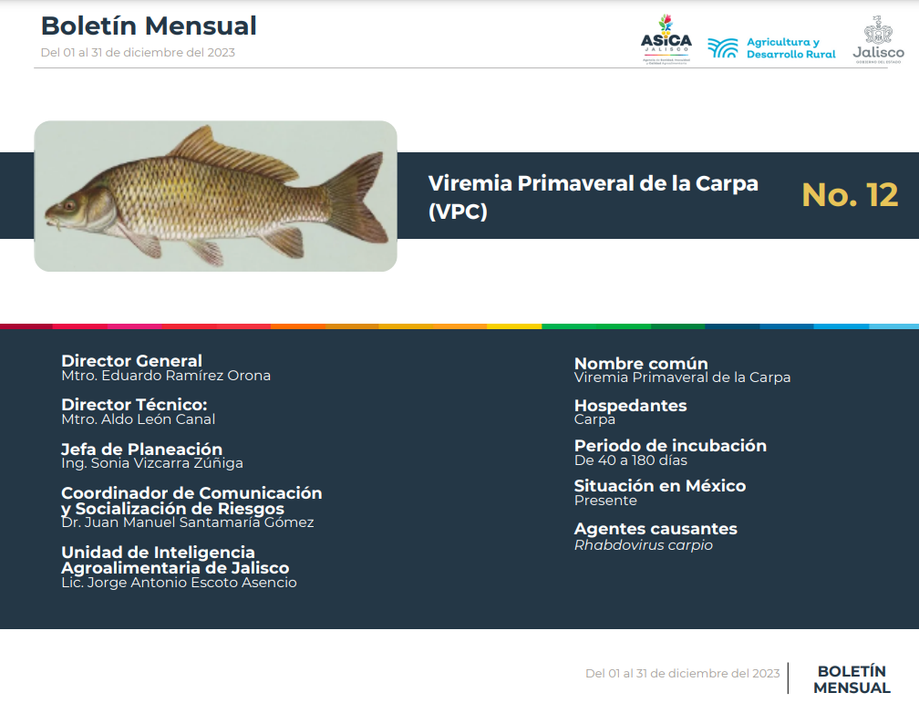 descripción de la imagenViremia Primaveral de la Carpa (VPC)