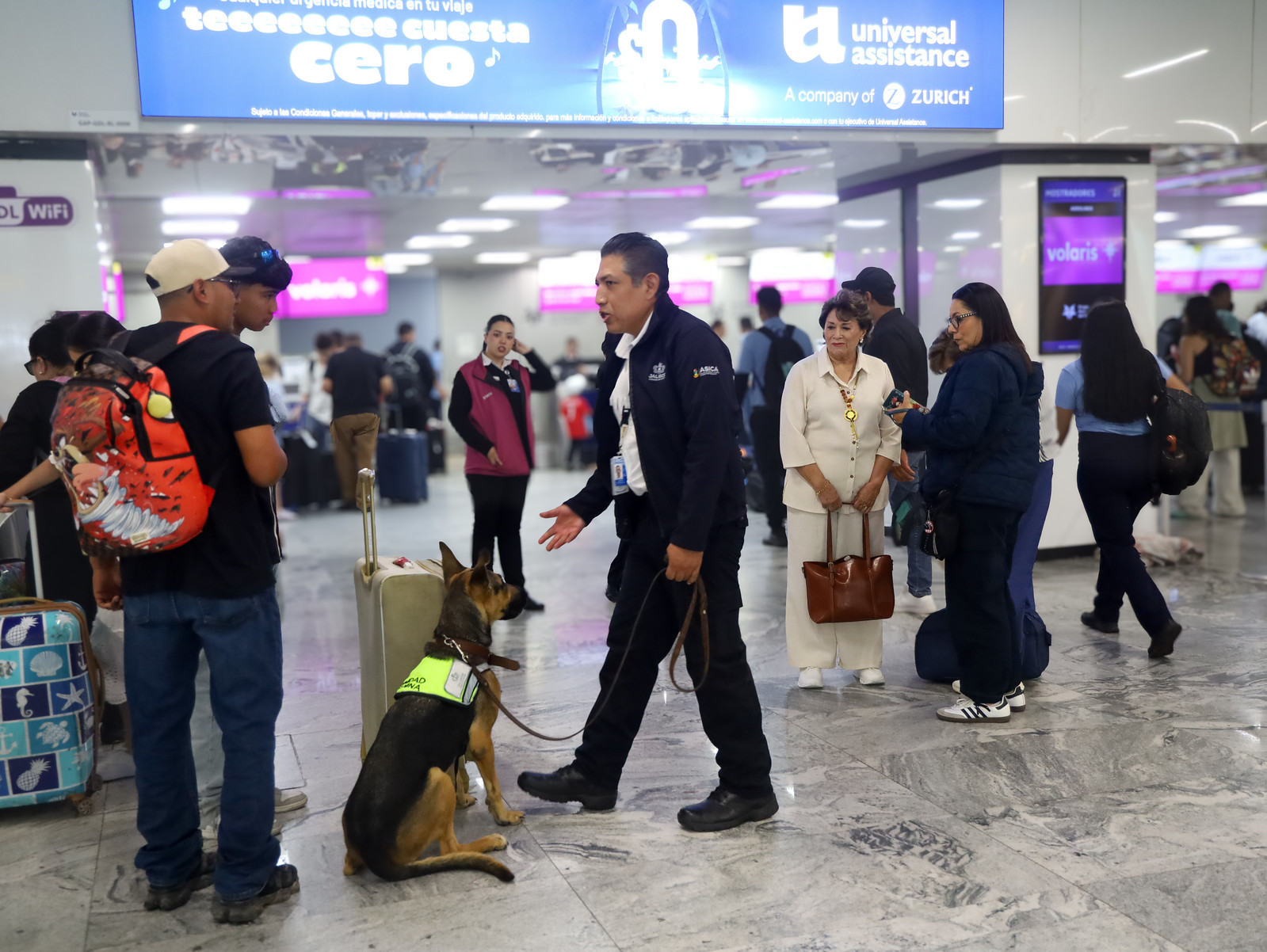 descripción de la imagen: Sin descripción