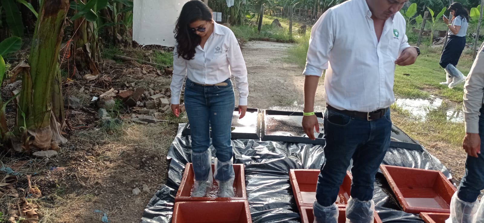 descripción de la imagen: Sin descripción